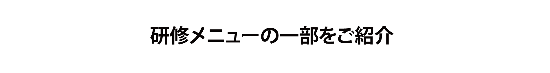 研修の一部を公開