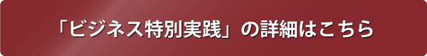 ビジネス特別実践の詳細はこちらから