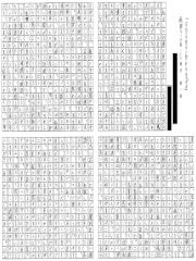 フレッシュマン颯爽研修