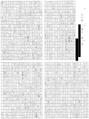 フレッシュマン颯爽研修