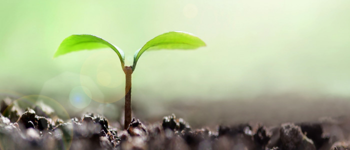 新入社員に行われるフォローアップ研修とは?